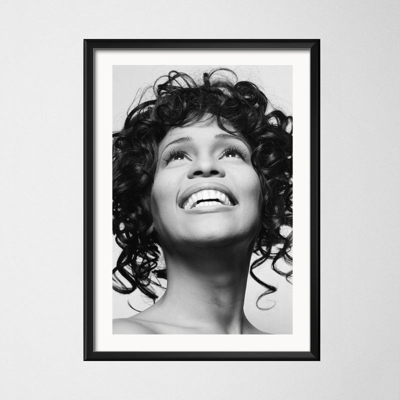 Poster And Prints Whitney Hous - Home Decor Houston 评论和价格