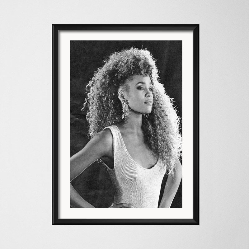 Poster And Prints Whitney Hous - Home Decor Houston 评论和价格