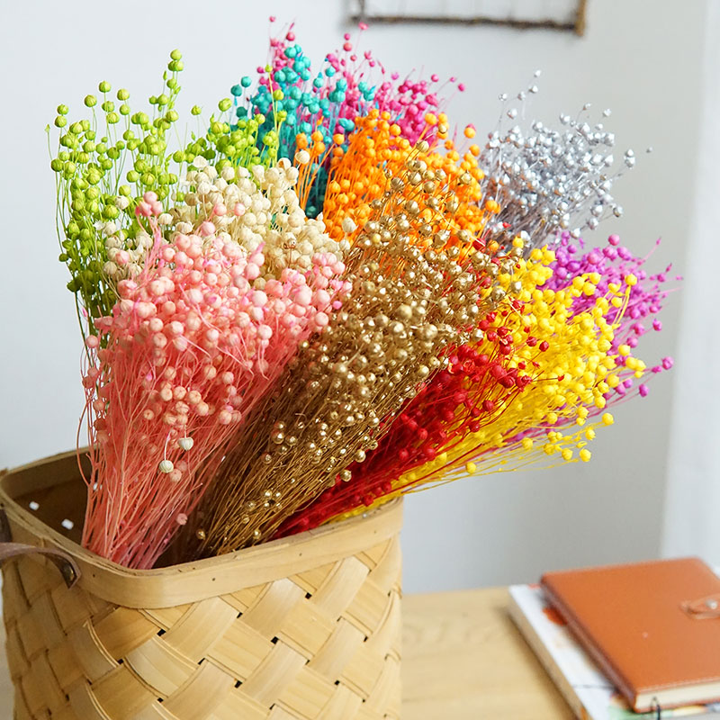 35g/Preserved Ormosia Hosiei N - Dried Flower Bouquet 评论和价格