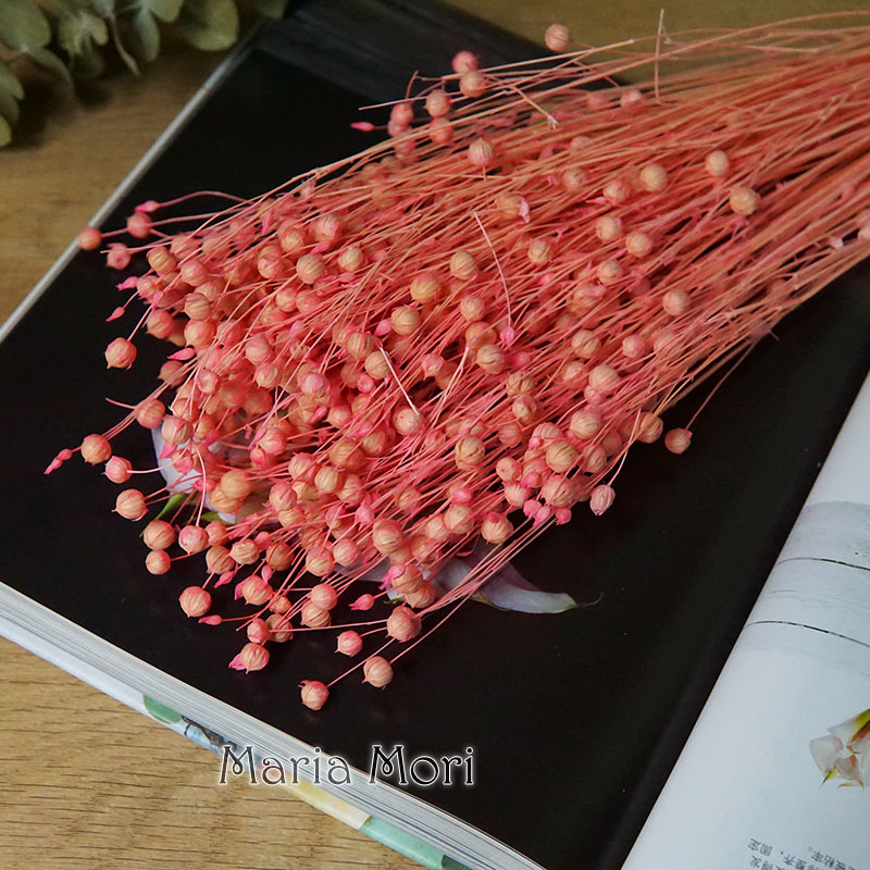 35g/Preserved Ormosia Hosiei N - Dried Flower Bouquet 评论和价格