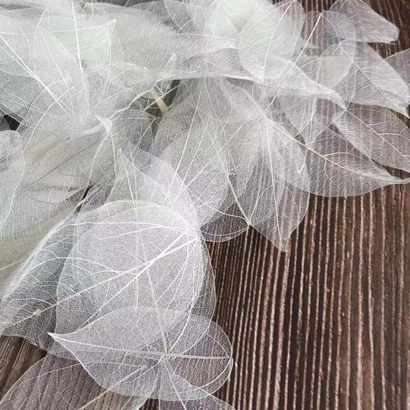 5~9CM*2~3.5CM,100PCS/Set,Real  - Dried Flower Bouquet 评论和价格