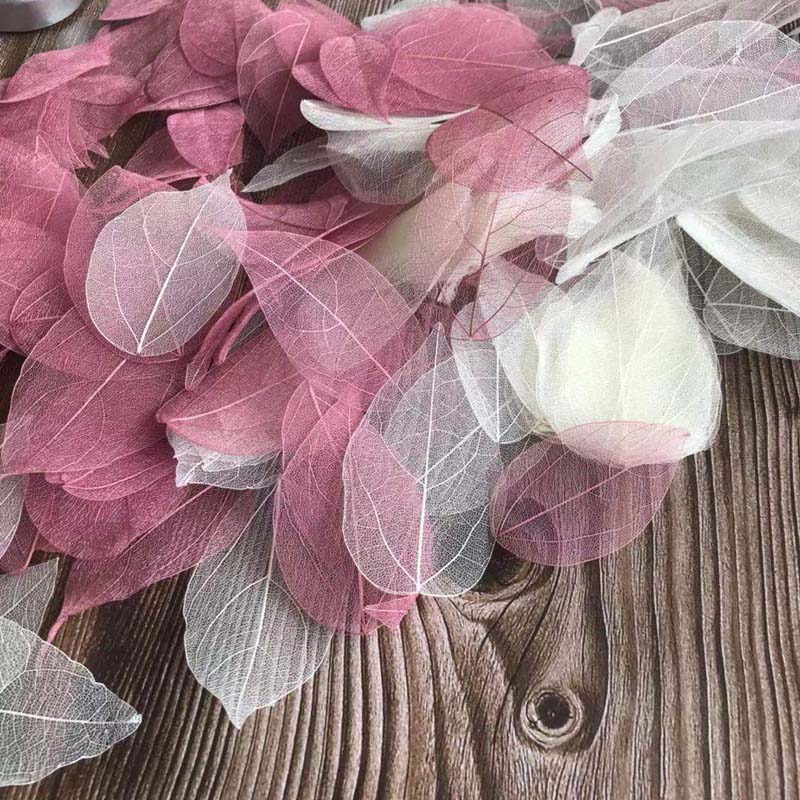 5~9CM*2~3.5CM,100PCS/Set,Real  - Dried Flower Bouquet 评论和价格