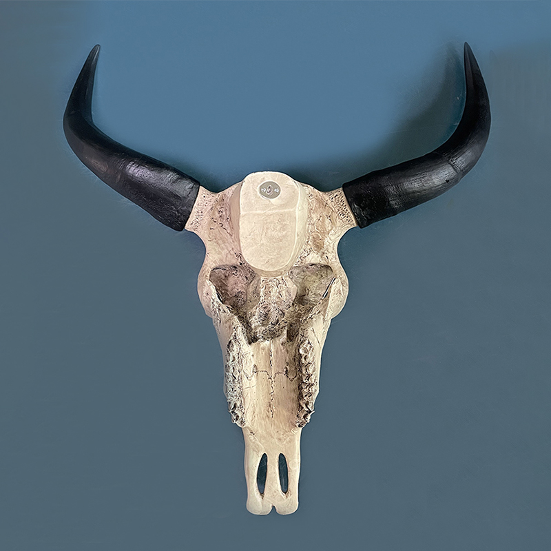 Artificial Cow Skull Sheep Sku - Home Decor On Sale 评论和价格