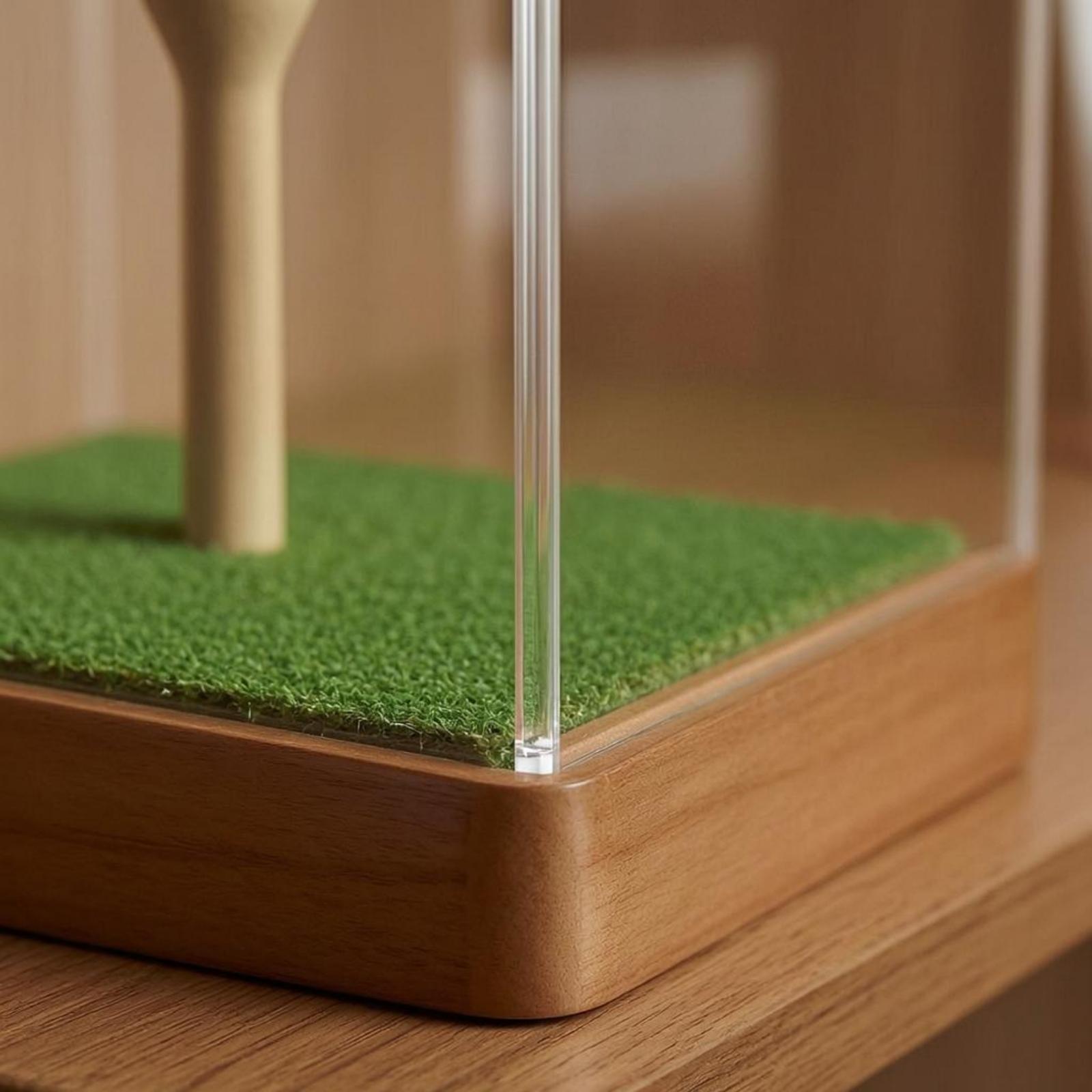 Golf Ball Case Acrylic Display - Home Decor Organizer 评论和价格