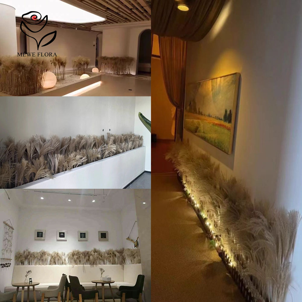 200PCS Natural Dried Fluffy Re - Dried Flower Bouquet 评论和价格