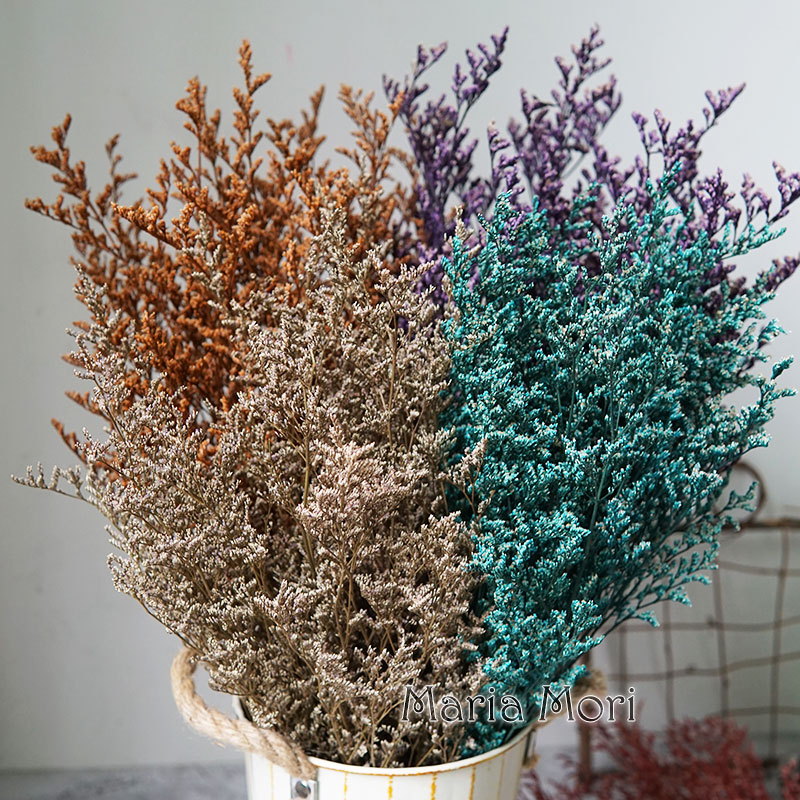 50g/Preserved Valentine's Gras - Dried Flower Bouquet 评论和价格