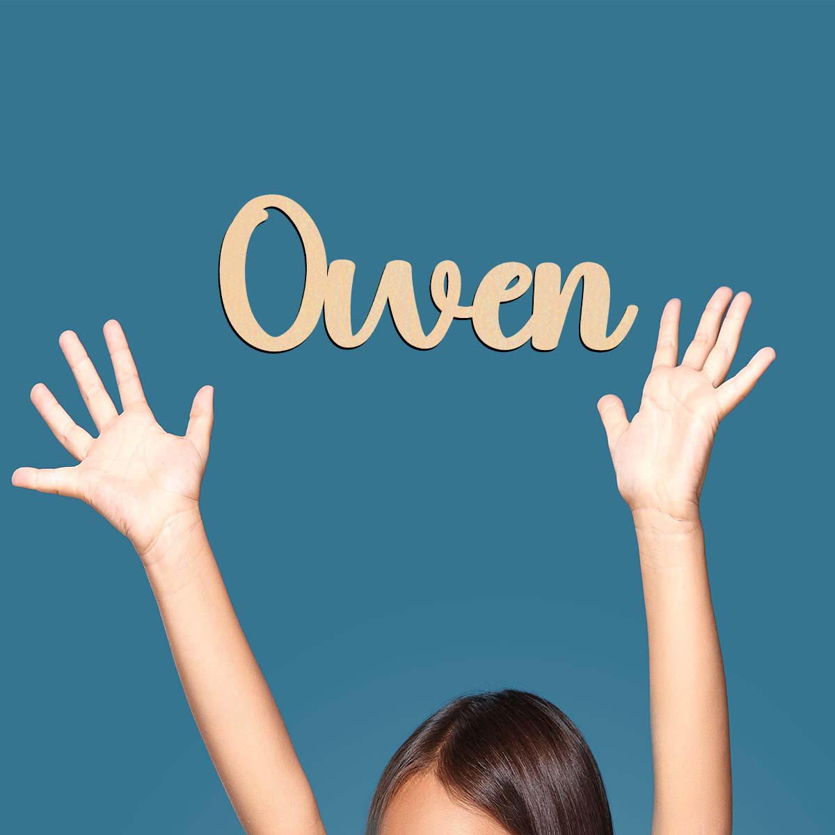 1PC Long-Lasting owen example  - Home Decor Examples 评论和价格