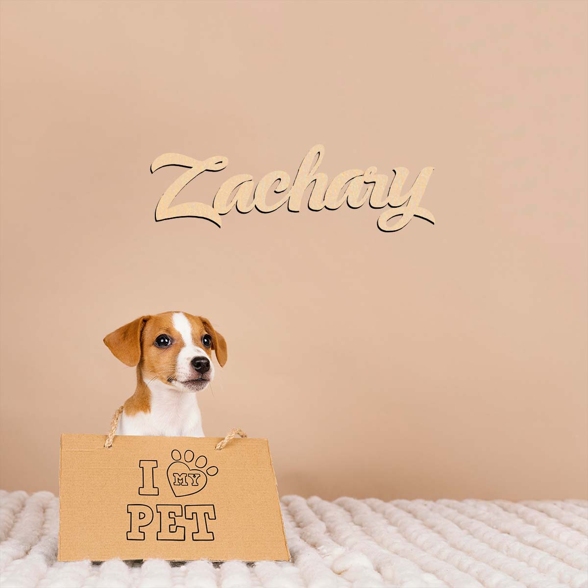 1pc home decor Zachary example - Home Decor Examples 评论和价格