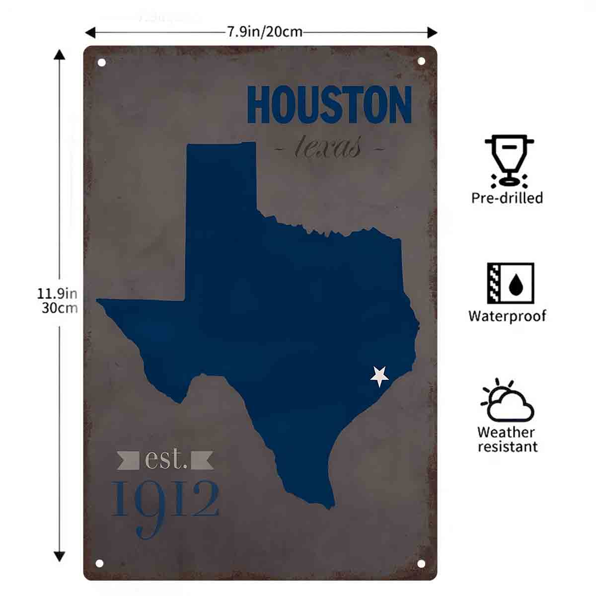 2D FLAT 1pc Houston Texas Blue - Home Decor Houston 评论和价格