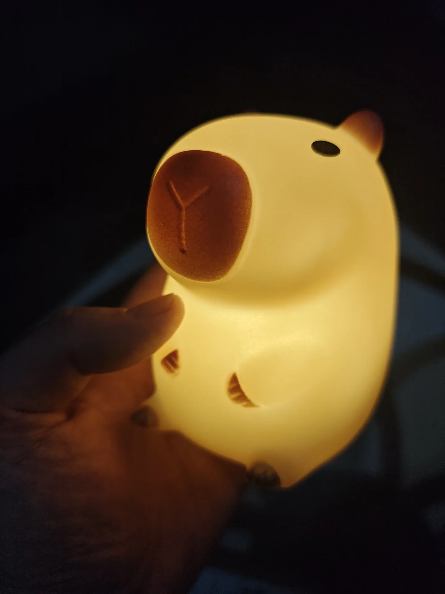 Cute Pet Capybara Night Light  - Home Decor On Sale 评论和价格