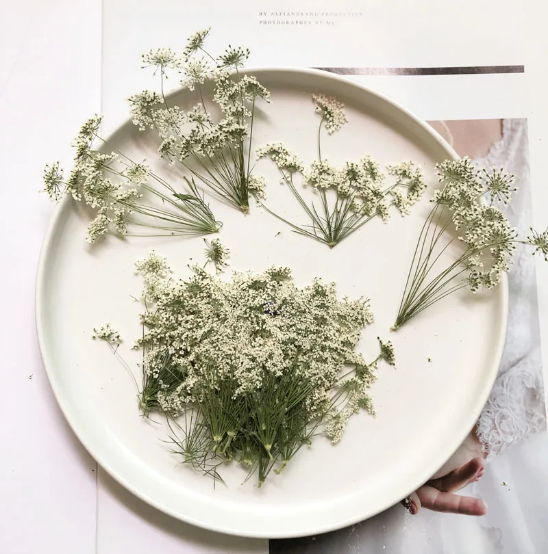 5-7cm/12pcs,Snow Tiny Flowers  - Dried Flower Bouquet 评论和价格