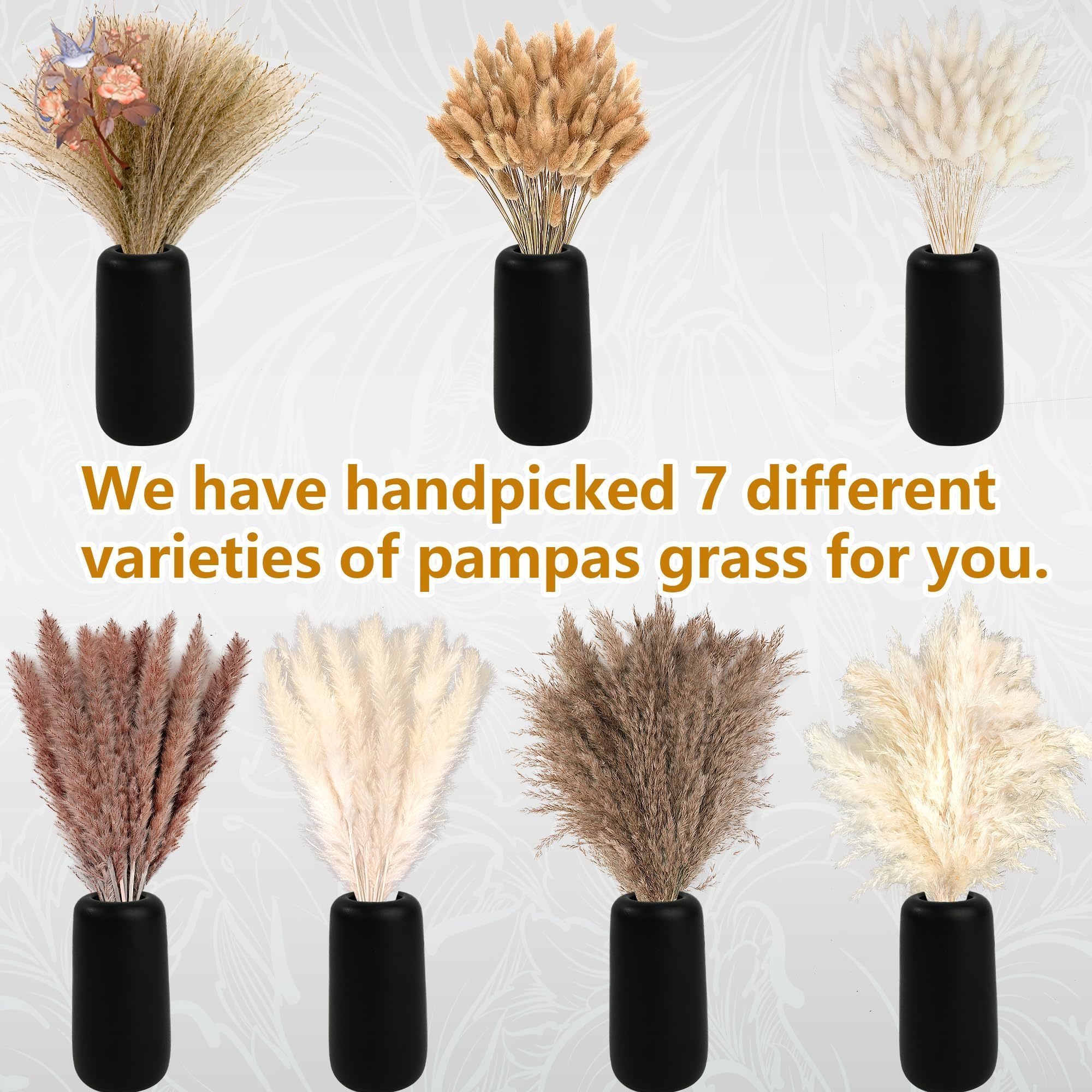 300Pcs Natural Large Pampas Gr - Dried Flower Bouquet 评论和价格