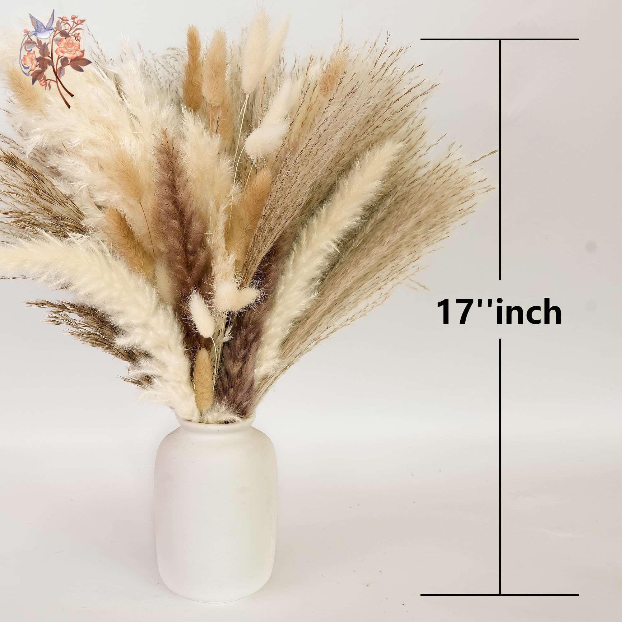 300Pcs Natural Large Pampas Gr - Dried Flower Bouquet 评论和价格