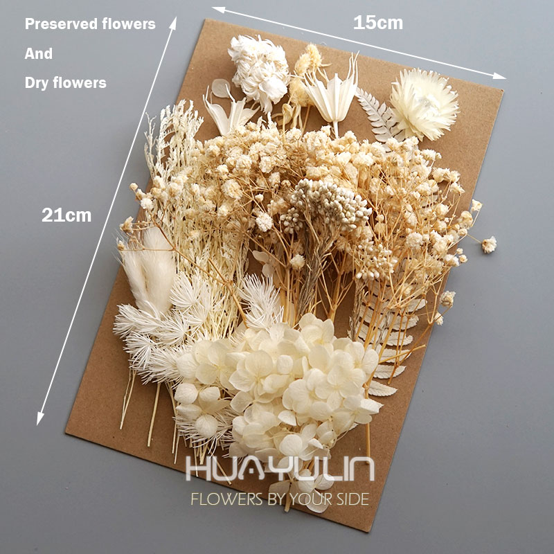 1 Pack Artificial Plants Dried - Dried Flower Bouquet 评论和价格
