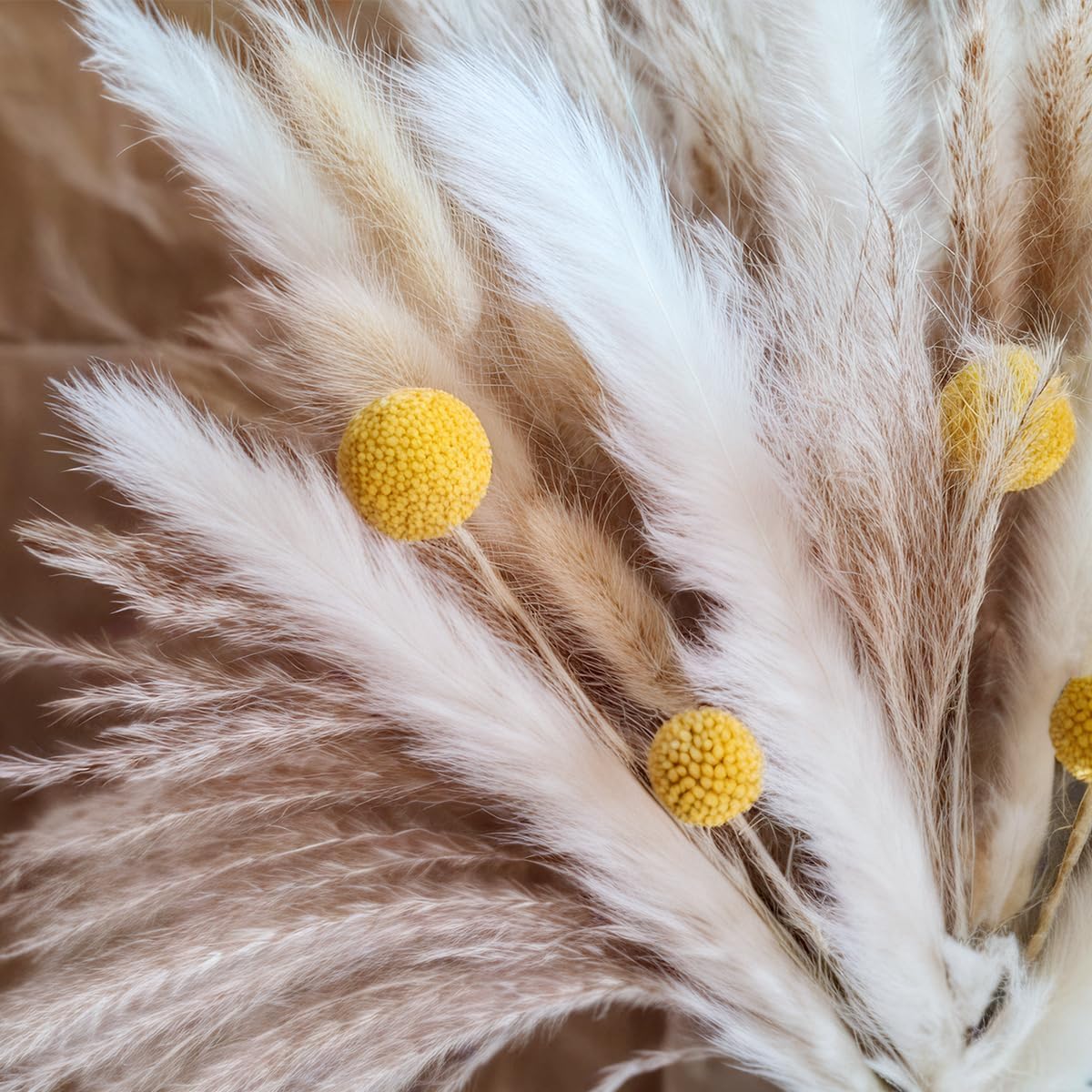 Dried Pampas Grass Bouquet Nat - Dried Flower Bouquet 评论和价格