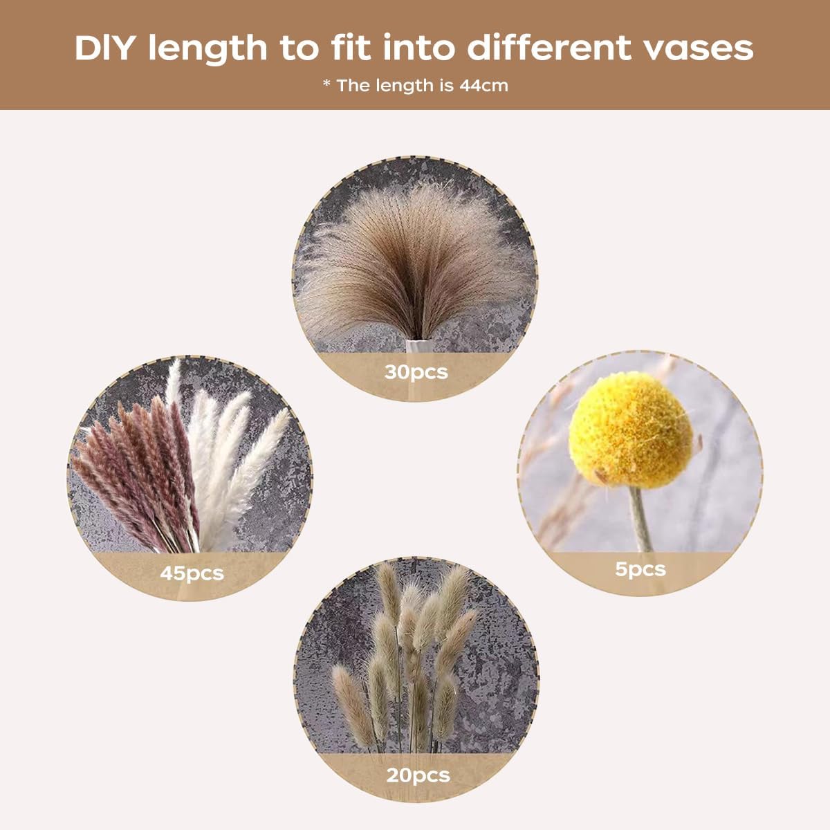 Dried Pampas Grass Bouquet Nat - Dried Flower Bouquet 评论和价格