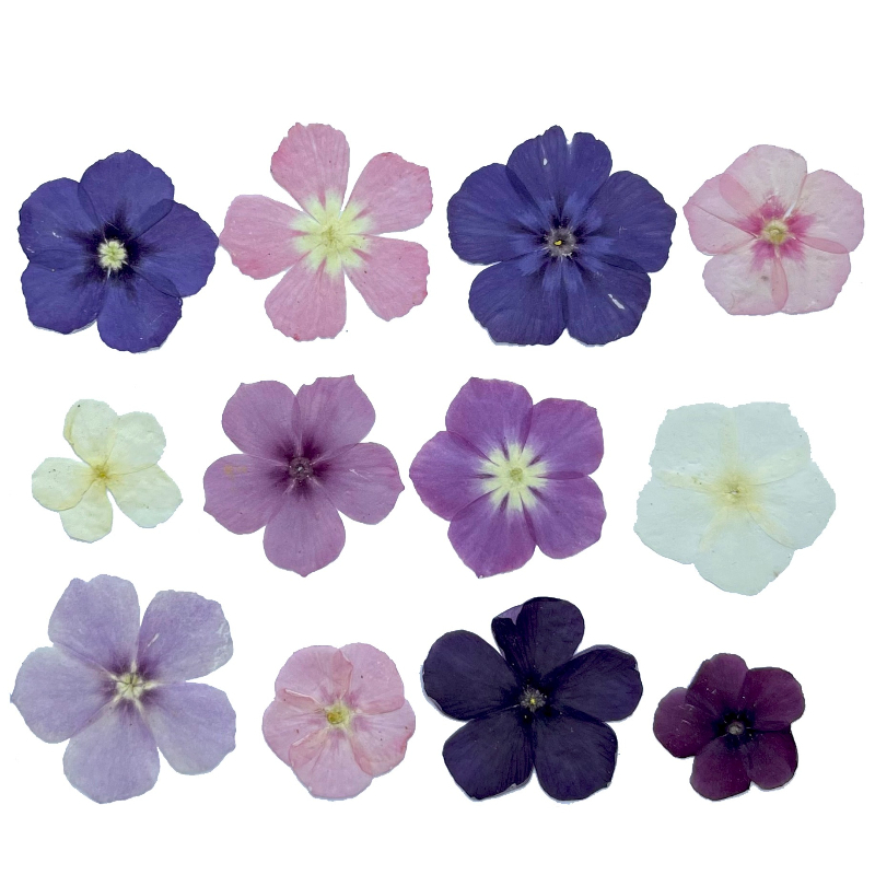 Random 1PC Natural Blue Yellow - Home Decor Za 评论和价格