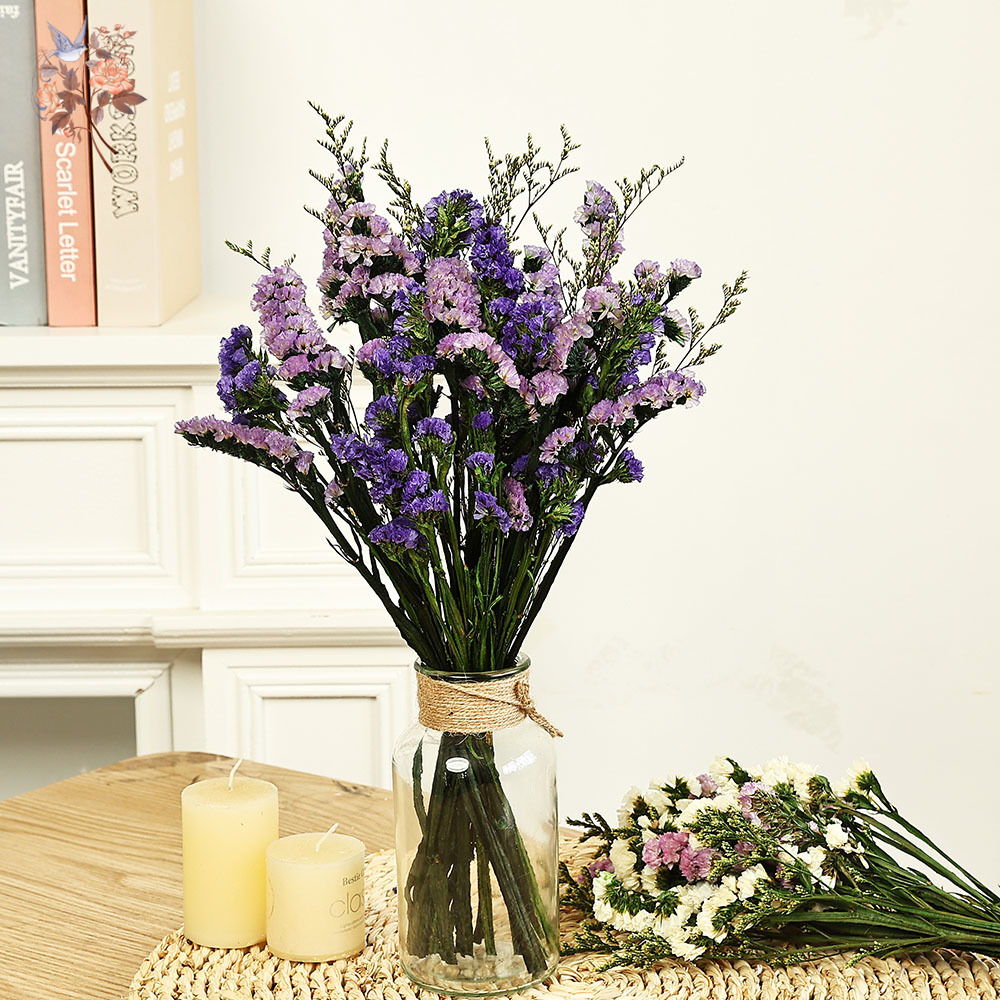 100g Natural Real Forget-me-no - Dried Flower Bouquet 评论和价格