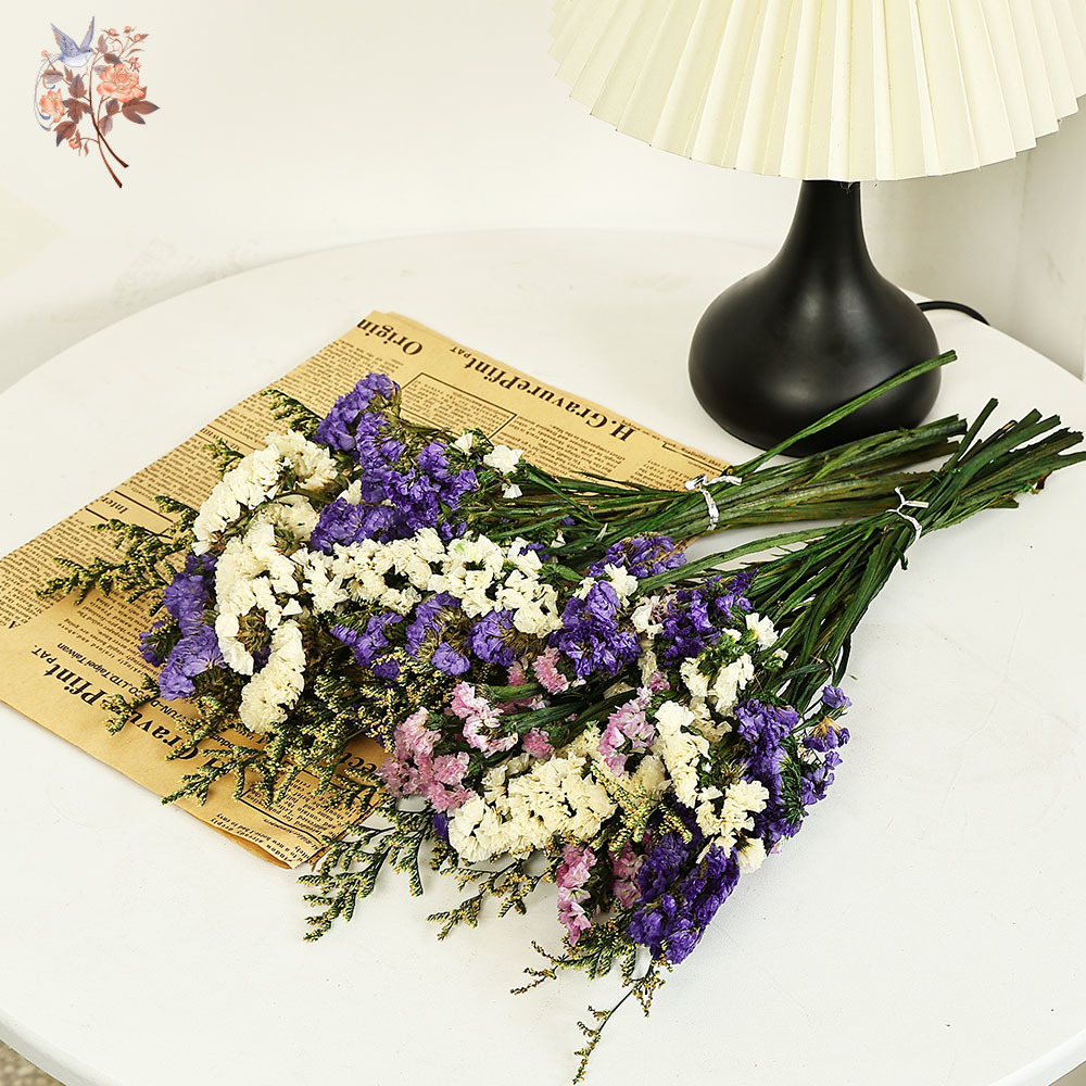 100g Natural Real Forget-me-no - Dried Flower Bouquet 评论和价格