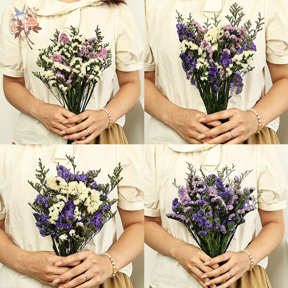 100g Natural Real Forget-me-no - Dried Flower Bouquet 评论和价格