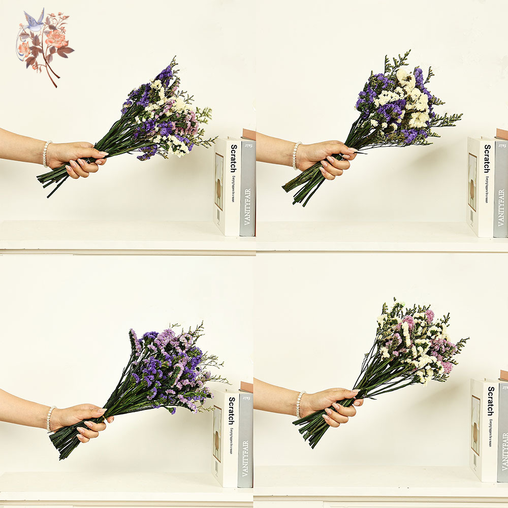 100g Natural Real Forget-me-no - Dried Flower Bouquet 评论和价格