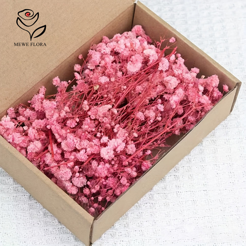 100 Small Branch Dried Baby's  - Dried Flower Bouquet 评论和价格