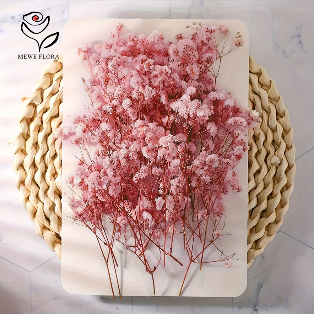 100 Small Branch Dried Baby's  - Dried Flower Bouquet 评论和价格