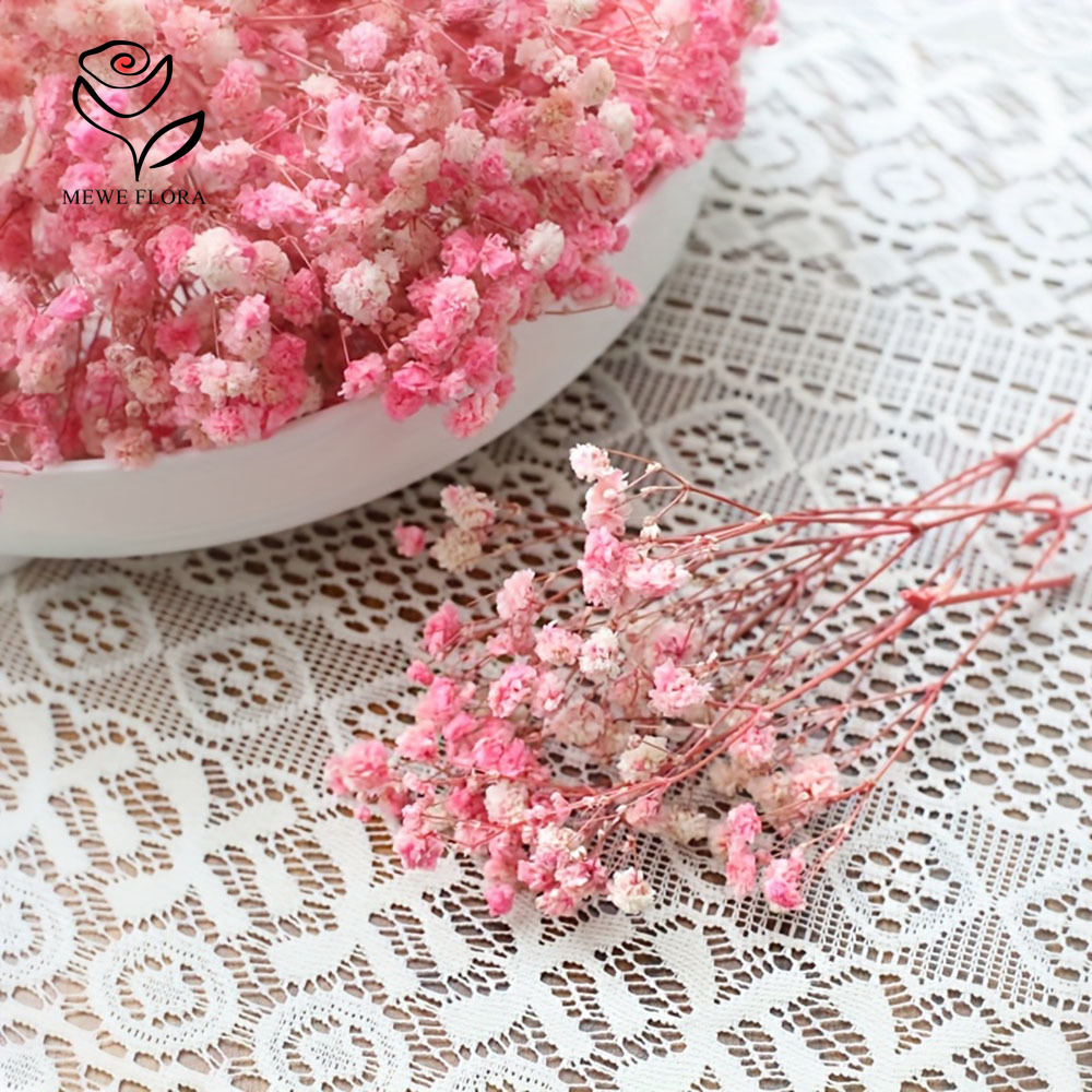 100 Small Branch Dried Baby's  - Dried Flower Bouquet 评论和价格